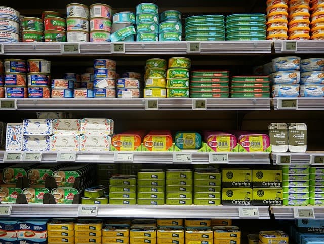 Les meilleures périodes de promotions à ne pas manquer